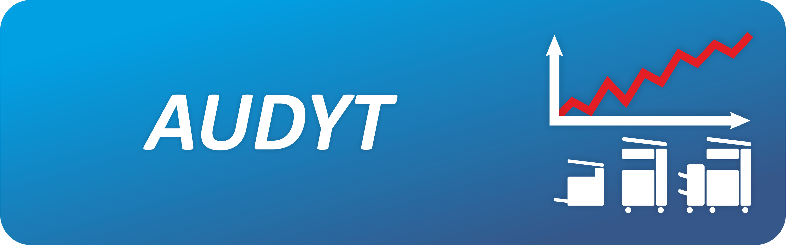 audyt